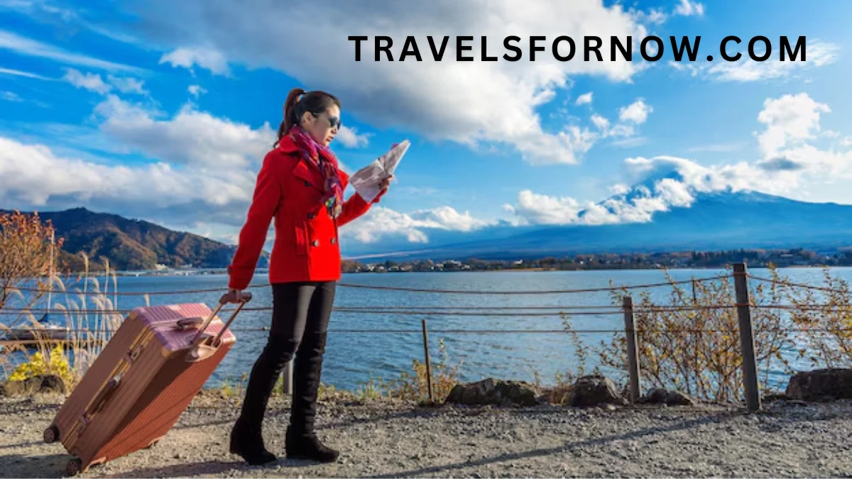 travelsfornow.com