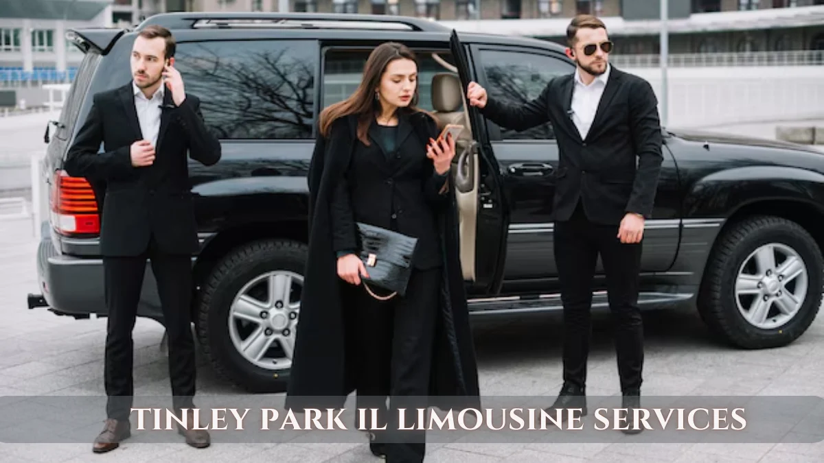 tinley park il limousine services