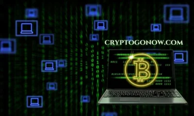 cryptogonow.com