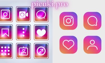 picuki.pro