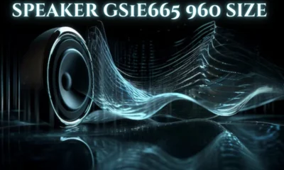 speaker gs1e665 960 size