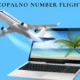 zopalno number flight