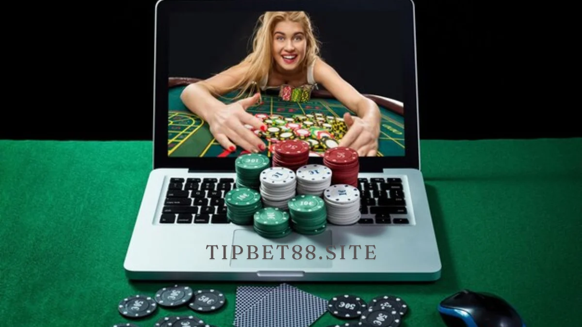 tipbet88.site